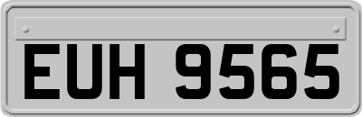 EUH9565