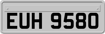 EUH9580
