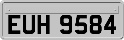 EUH9584