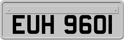 EUH9601