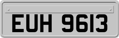 EUH9613