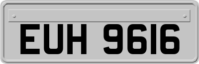 EUH9616