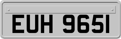 EUH9651