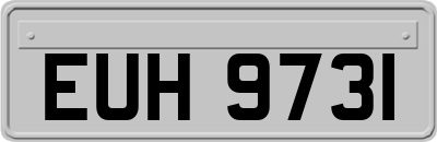 EUH9731
