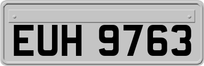 EUH9763