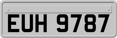 EUH9787