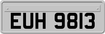 EUH9813
