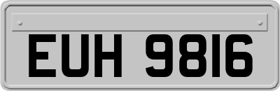 EUH9816