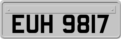 EUH9817