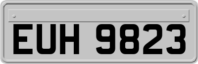 EUH9823