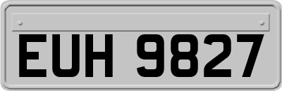 EUH9827