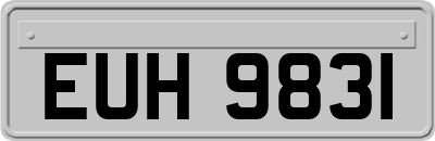 EUH9831