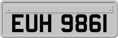 EUH9861