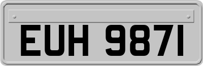 EUH9871