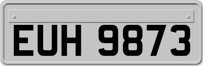EUH9873