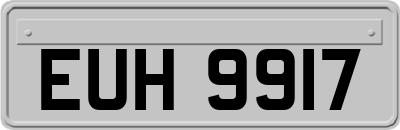 EUH9917
