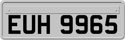 EUH9965