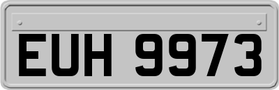 EUH9973
