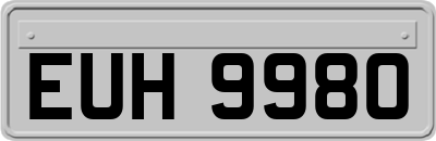 EUH9980