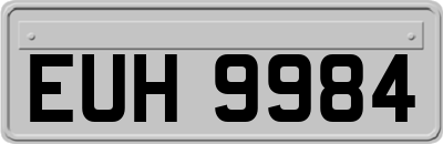EUH9984