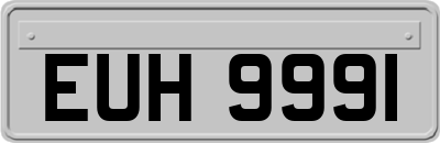 EUH9991