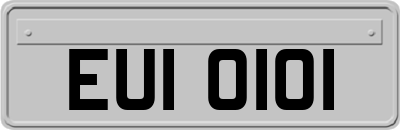 EUI0101