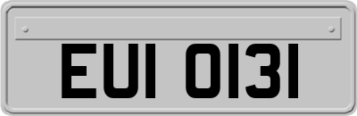 EUI0131