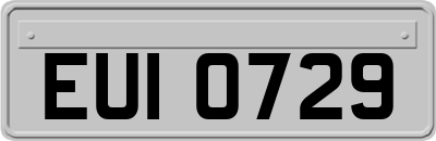 EUI0729