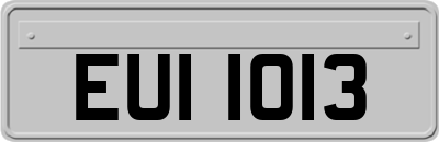 EUI1013