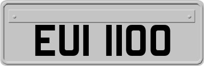 EUI1100