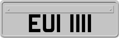 EUI1111