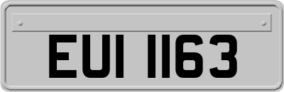 EUI1163