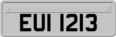 EUI1213