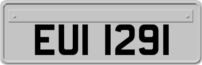 EUI1291