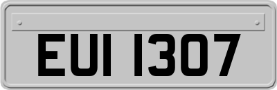 EUI1307