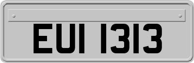 EUI1313