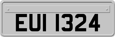 EUI1324