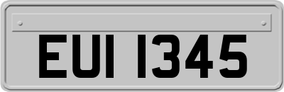 EUI1345