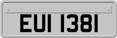 EUI1381