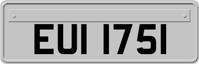 EUI1751
