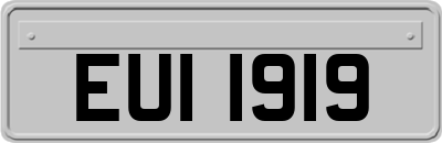 EUI1919