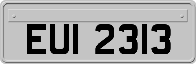 EUI2313