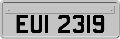 EUI2319