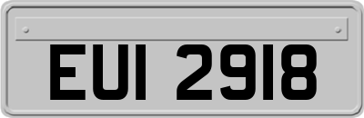 EUI2918