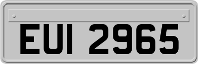 EUI2965