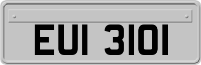 EUI3101
