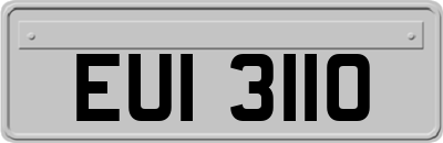 EUI3110