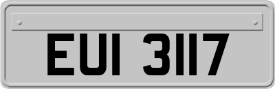 EUI3117
