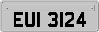 EUI3124