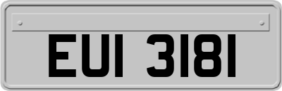 EUI3181